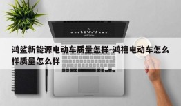 鸿鲨新能源电动车质量怎样-鸿禧电动车怎么样质量怎么样