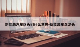 新能源汽车巨头们什么意思-新能源车企龙头