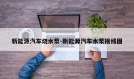 新能源汽车烧水泵-新能源汽车水泵接线图