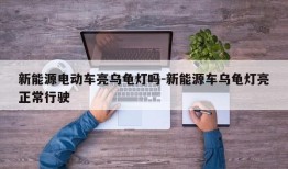 新能源电动车亮乌龟灯吗-新能源车乌龟灯亮正常行驶