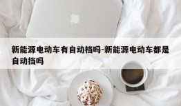 新能源电动车有自动档吗-新能源电动车都是自动挡吗