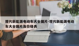 现代新能源电动车大全图片-现代新能源电动车大全图片及价格表