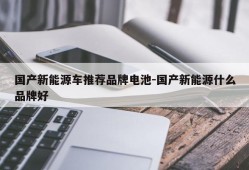 国产新能源车推荐品牌电池-国产新能源什么品牌好