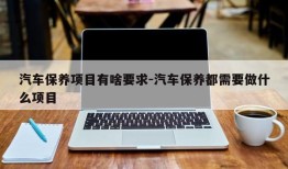 汽车保养项目有啥要求-汽车保养都需要做什么项目