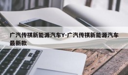 广汽传祺新能源汽车Y-广汽传祺新能源汽车最新款