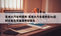 家用小汽车咋保养-家用小汽车保养在4s店好还是在外面保养好新车