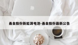 甬金股份新能源电池-甬金股份最新公告