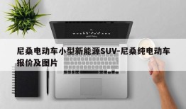 尼桑电动车小型新能源SUV-尼桑纯电动车报价及图片