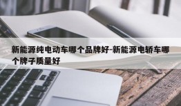 新能源纯电动车哪个品牌好-新能源电轿车哪个牌子质量好